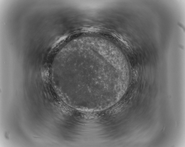 X0000095511254200712281430