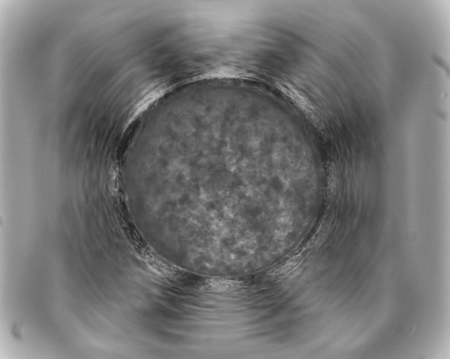 X0000095511258200712281430