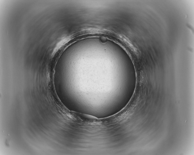 X0000095511261200712281430