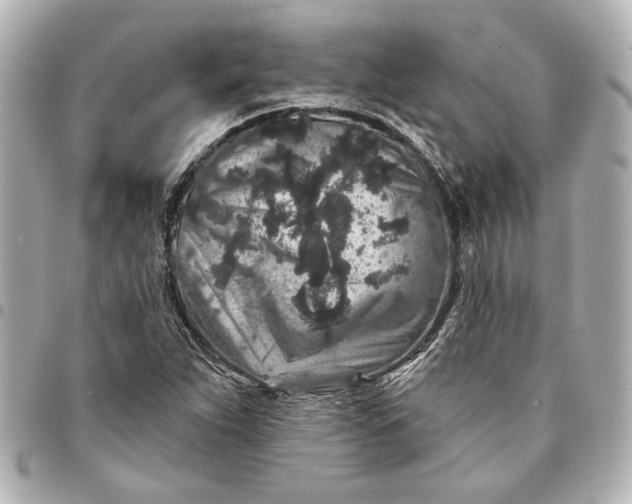 X0000095511263200712281430