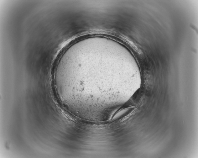 X0000095511264200712281430