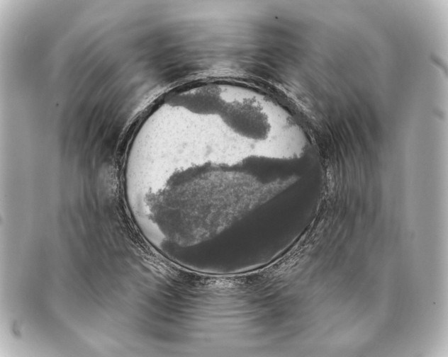 X0000095511266200712281430