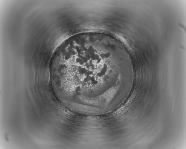 X0000095511267200712281430