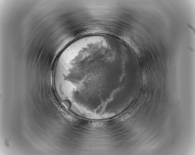 X0000095511274200712281430