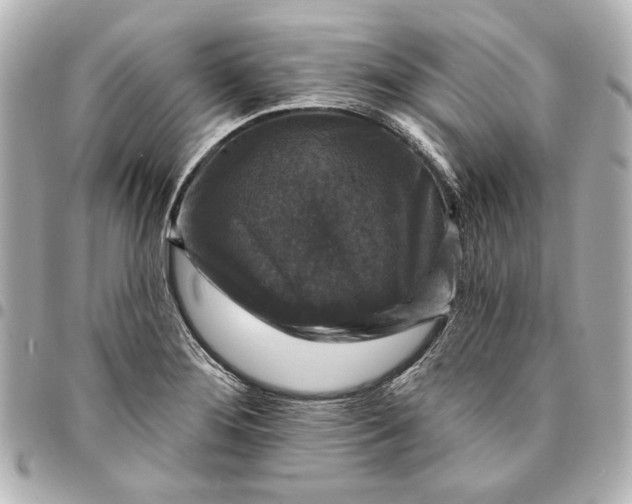 X0000095511276200712281430