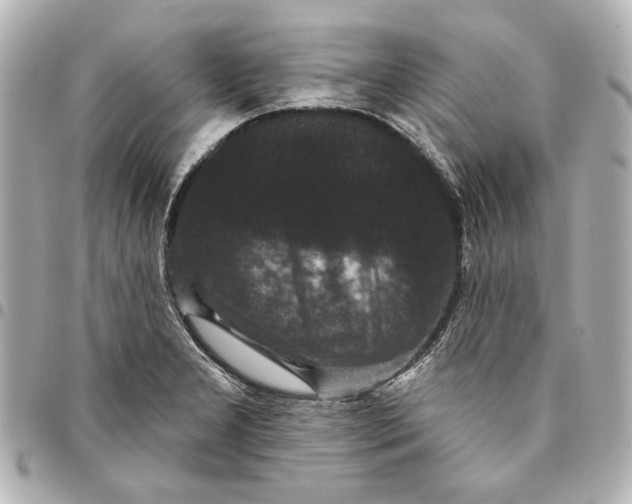 X0000095511277200712281430