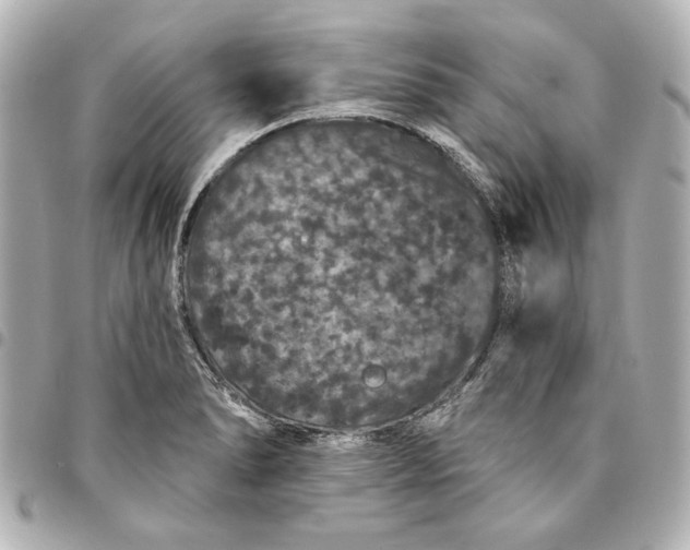 X0000095511278200712281430