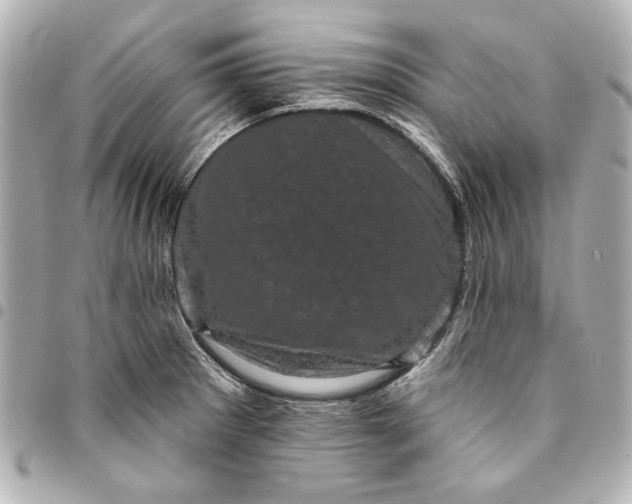 X0000095511281200712281430