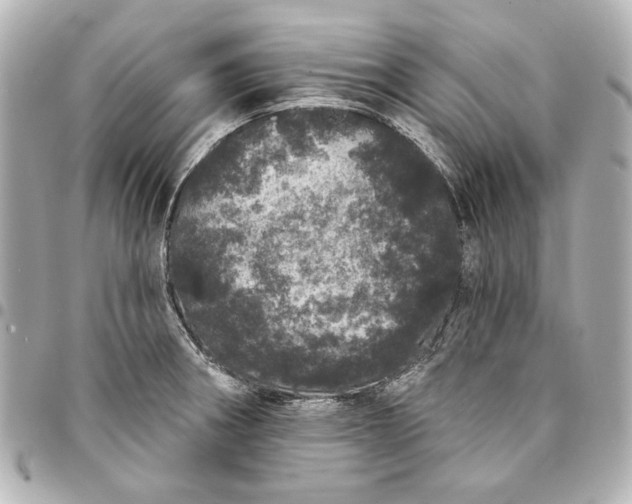 X0000095511282200712281430