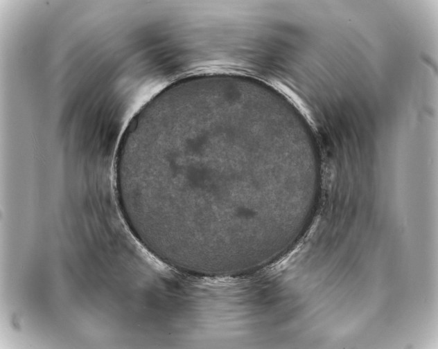 X0000095511285200712281430