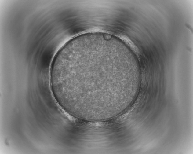 X0000095511286200712281430