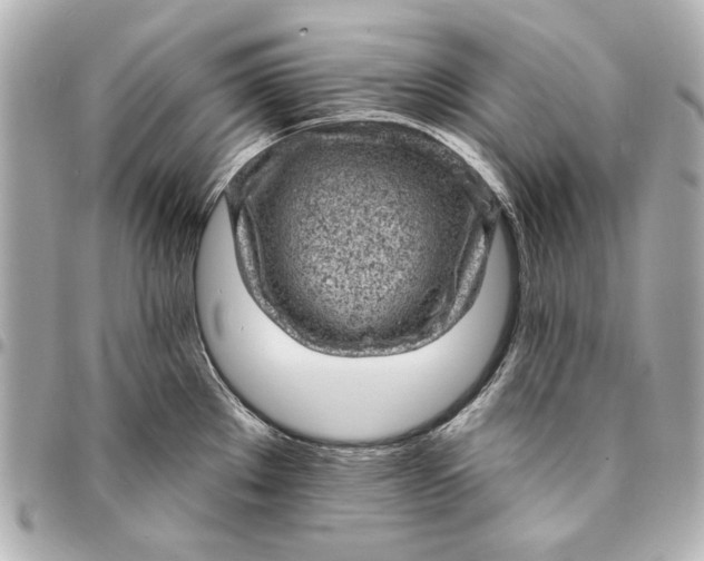 X0000095511289200712281429