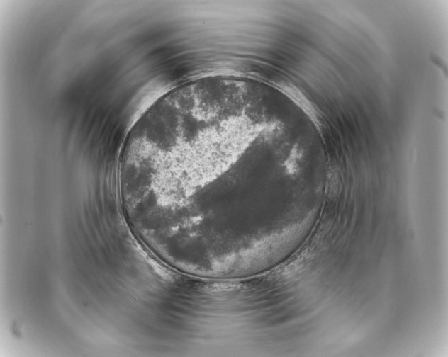 X0000095511290200712281429