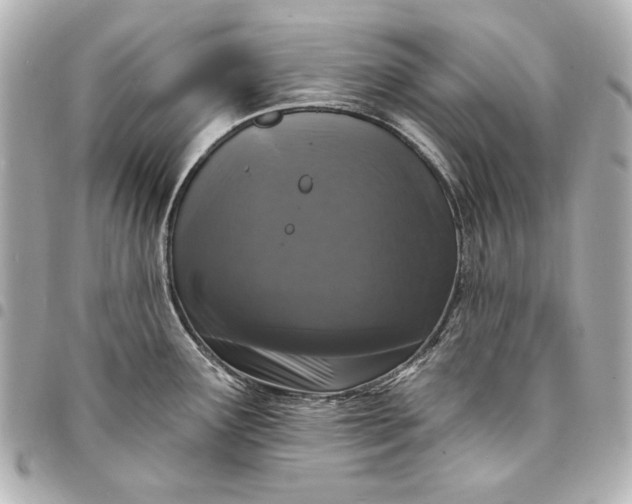 X0000095511291200712281429