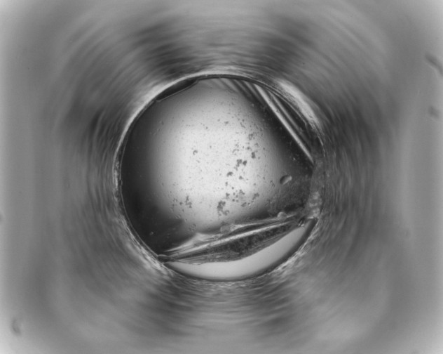 X0000095511292200712281429