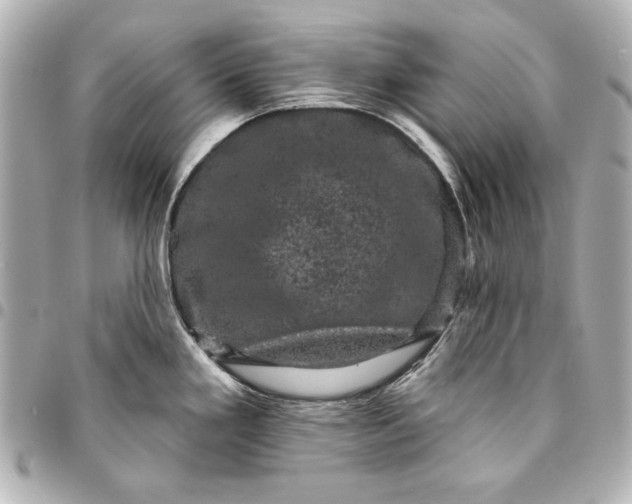 X0000095511293200712281429