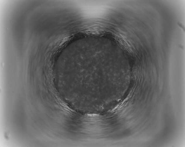 X0000095511297200712281429