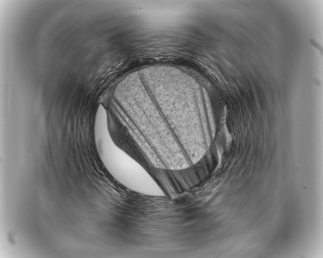 X0000095511298200712281429
