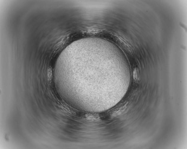 X0000095511299200712281429