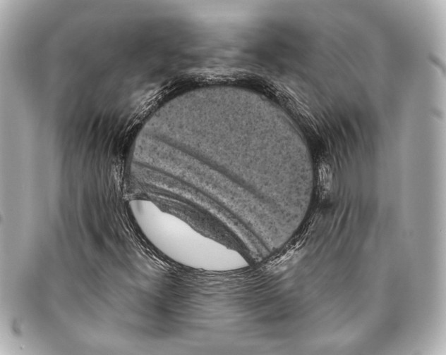 X0000095511300200712281429