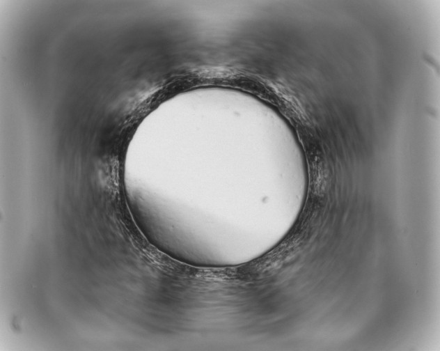 X0000095511301200712281429