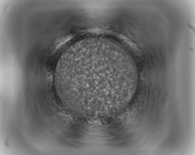 X0000095511302200712281429