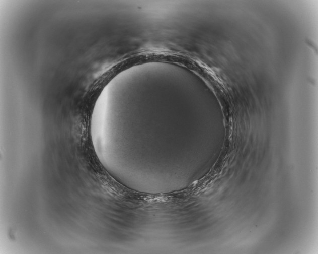 X0000095511303200712281429
