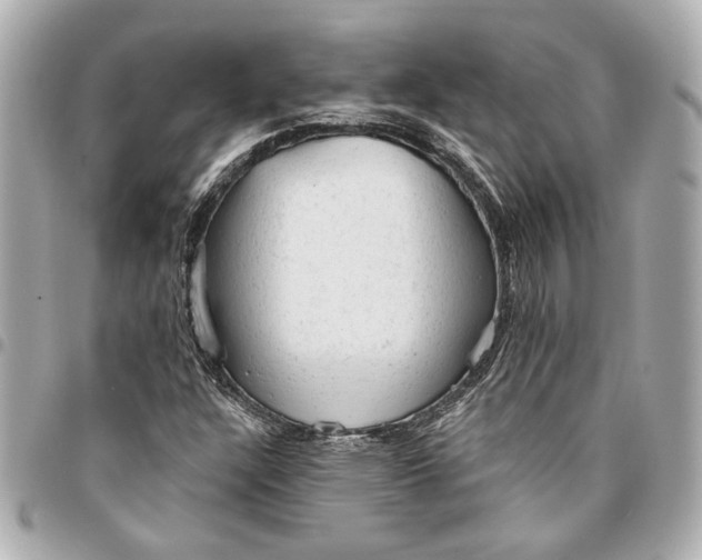 X0000095511304200712281429