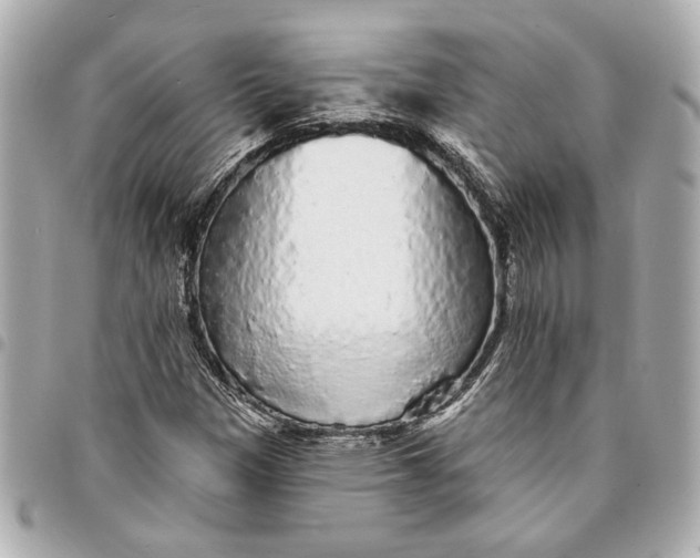 X0000095511305200712281429
