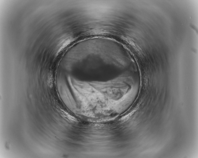 X0000095511306200712281429