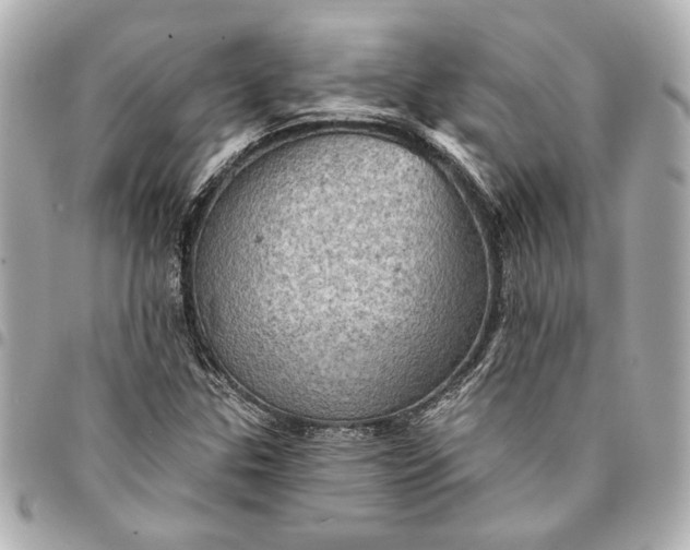 X0000095511307200712281429