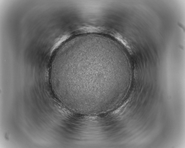 X0000095511309200712281429