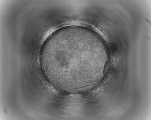 X0000095511312200712281429