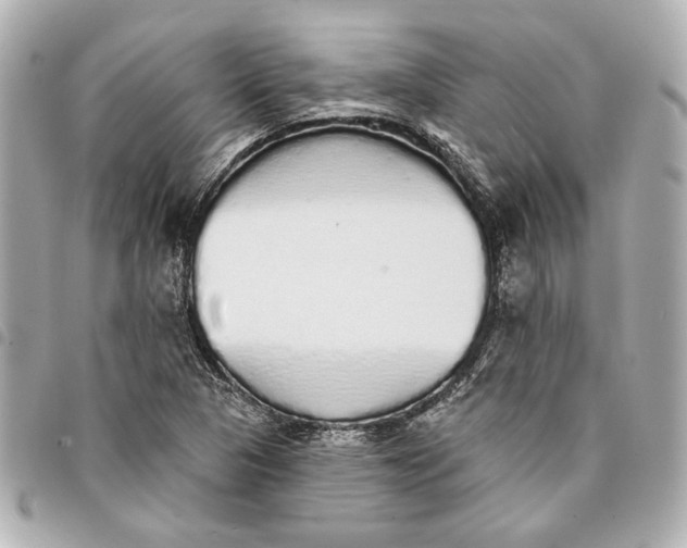 X0000095511313200712281429