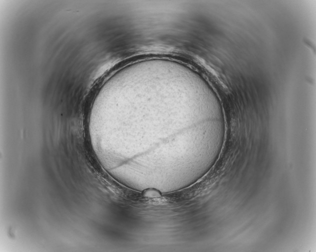 X0000095511315200712281429
