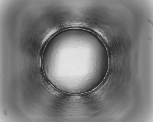 X0000095511317200712281429