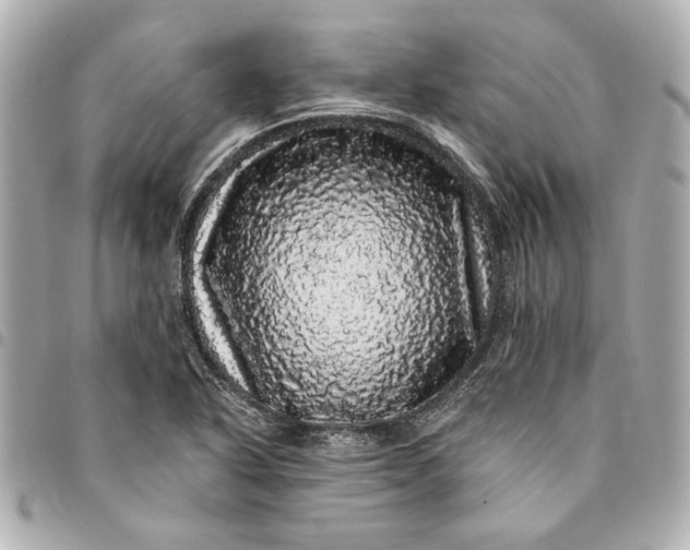 X0000095511318200712281429