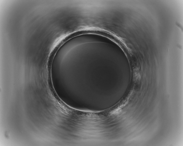 X0000095511319200712281429