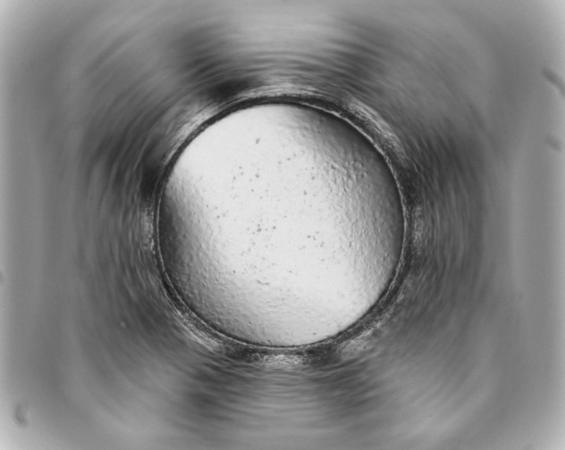X0000095511321200712281429