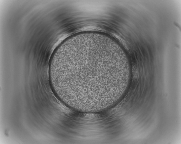 X0000095511322200712281429