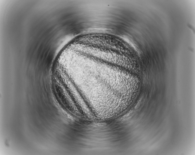 X0000095511325200712281429