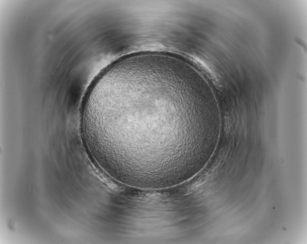 X0000095511326200712281429
