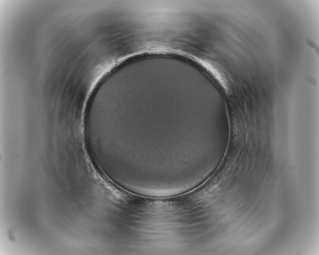 X0000095511327200712281429