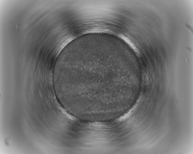X0000095511329200712281429
