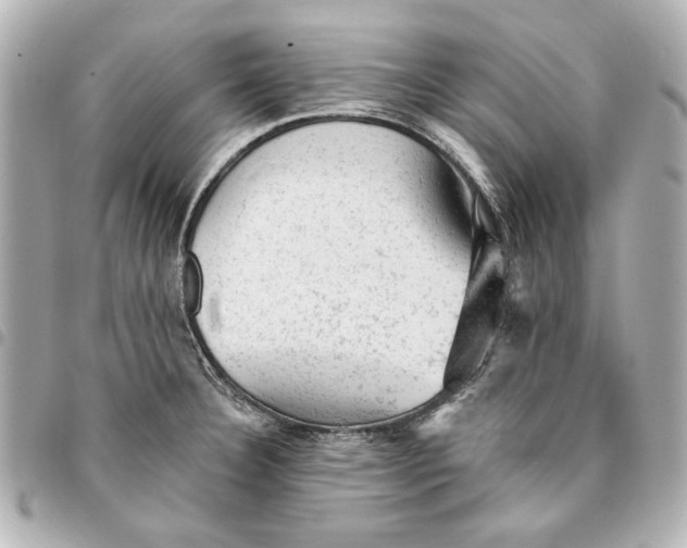 X0000095511332200712281429