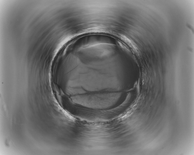 X0000095511334200712281429
