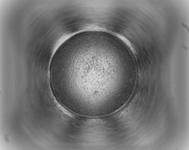 X0000095511335200712281429