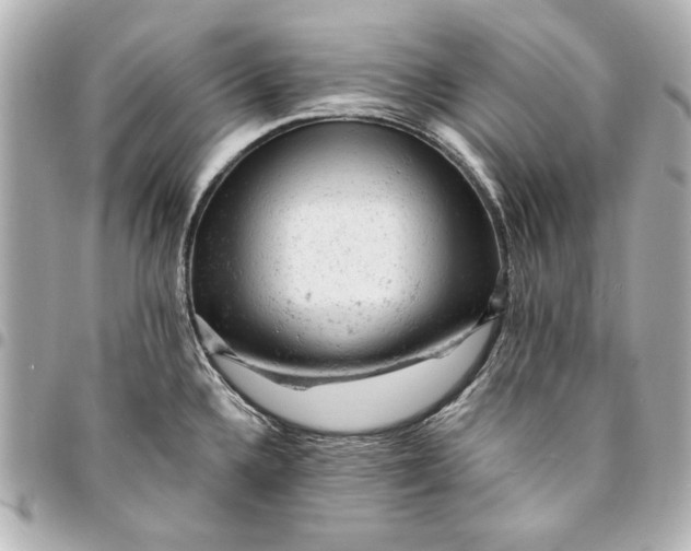 X0000095511336200712281429