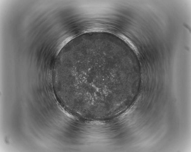 X0000095511337200712281429