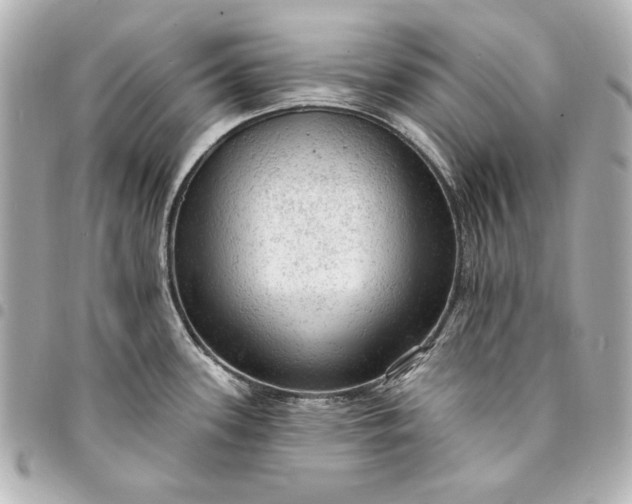 X0000095511339200712281429